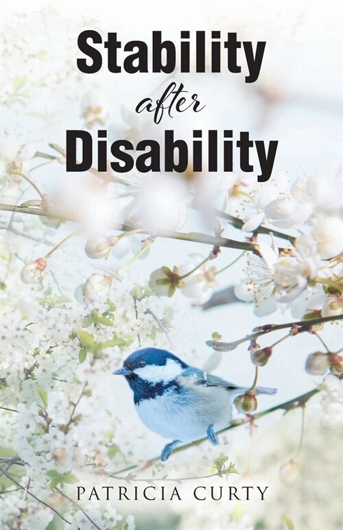 Stability after Disability (Paperback)