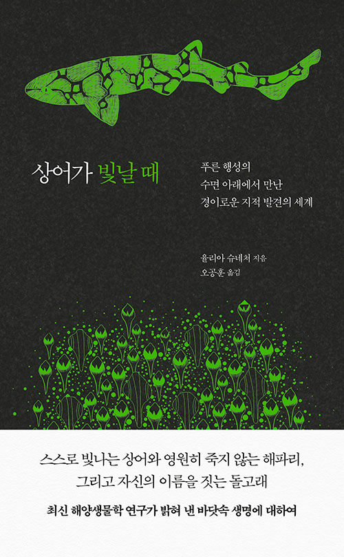 상어가 빛날 때 (블랙 에디션)