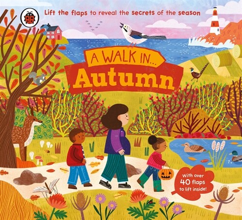 A Walk in Autumn : Lift the flaps to reveal the secrets of the season (Board Book)