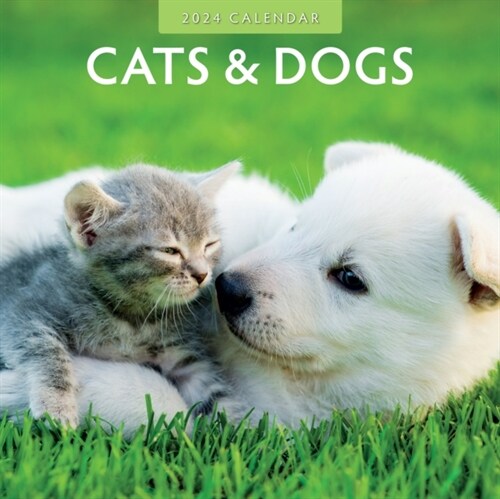 Cats & Dogs 2024 Square Wall Calendar (Paperback)