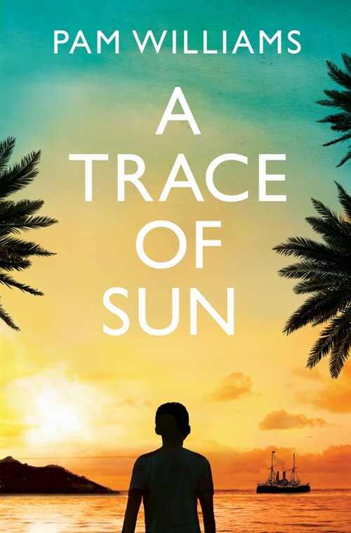 A Trace of Sun : a powerful and extraordinary novel exploring the long-term emotional impact of family separation (Paperback)
