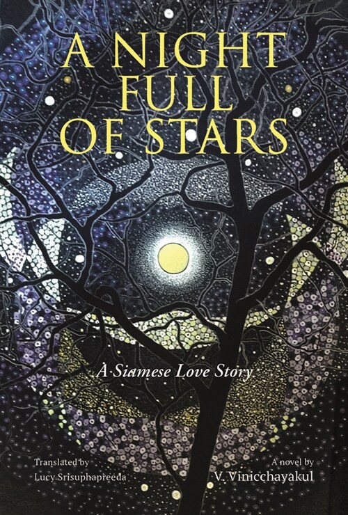 A Night Full of Stars (Paperback)