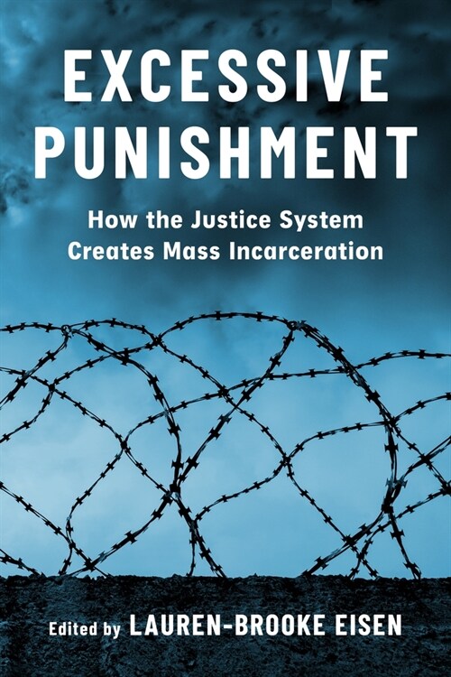 Excessive Punishment: How the Justice System Creates Mass Incarceration (Hardcover)