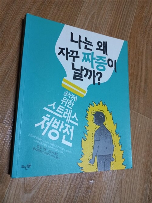 [중고] 나는 왜 자꾸 짜증이 날까?