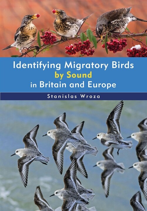 Identifying Migratory Birds by Sound in Britain and Europe (Paperback)