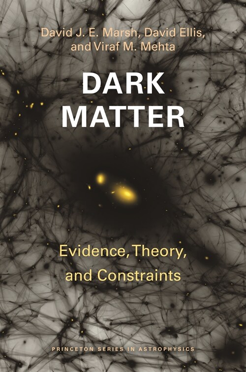 Dark Matter: Evidence, Theory, and Constraints (Hardcover)