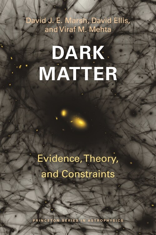 Dark Matter: Evidence, Theory, and Constraints (Paperback)