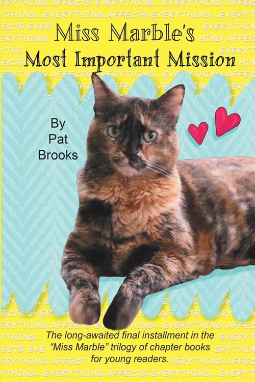 Miss Marbles Most Important Mission (Paperback)