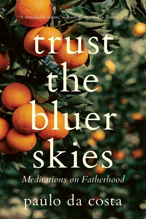 Trust the Bluer Skies: Meditations on Fatherhood (Paperback)