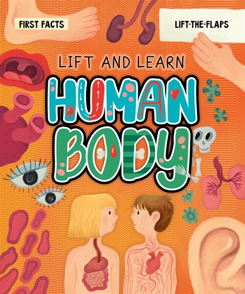 My First Lift-The-Flap: Human Body (Board Books)