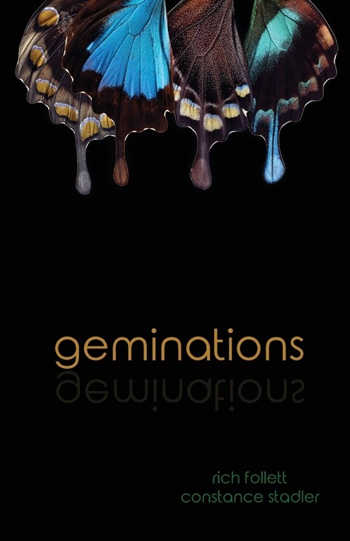 geminations (Paperback)