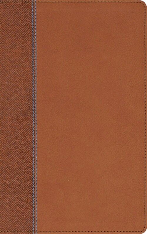 Niv, Quest Study Bible for Teens, Leathersoft, Brown, Comfort Print: The Question and Answer Bible (Imitation Leather)