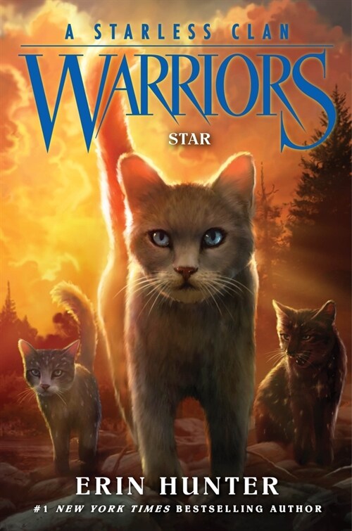 Warriors: A Starless Clan #6: Star (Hardcover)