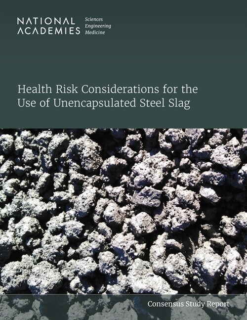 Health Risk Considerations for the Use of Unencapsulated Steel Slag (Paperback)