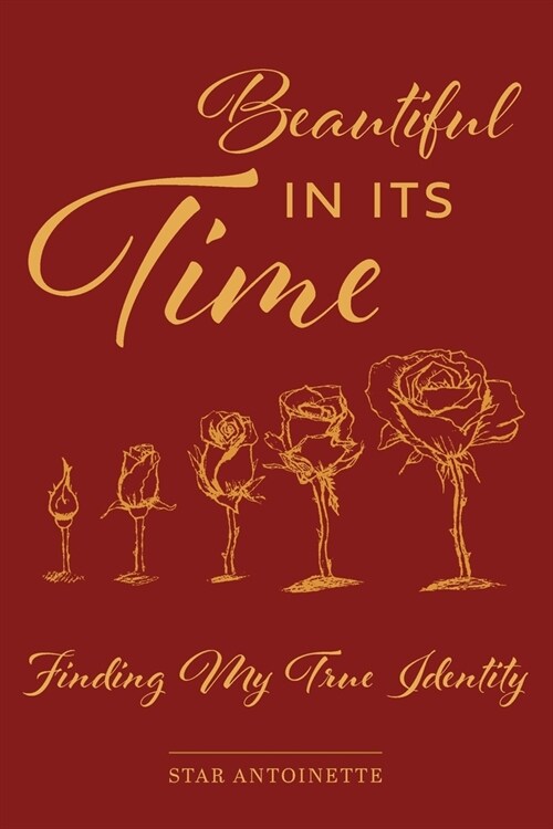Beautiful In Its Time: Finding My True Identity (Paperback)