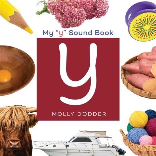 My Y Book (Paperback)