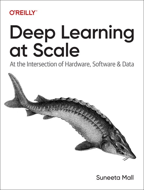 Deep Learning at Scale: At the Intersection of Hardware, Software, and Data (Paperback)