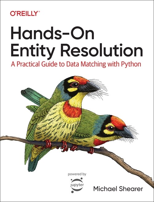 Hands-On Entity Resolution: A Practical Guide to Data Matching with Python (Paperback)