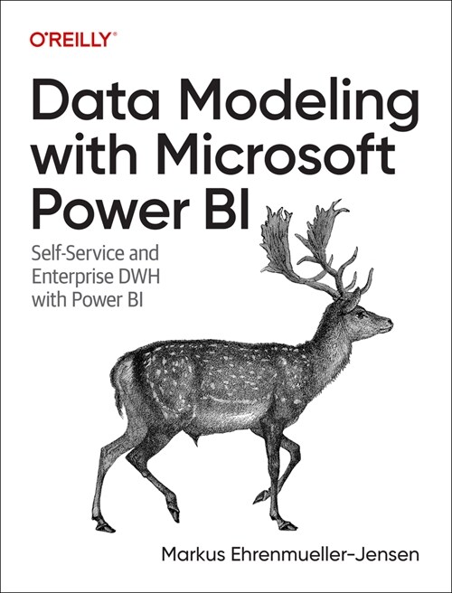 Data Modeling with Microsoft Power Bi: Self-Service and Enterprise Dwh with Power Bi (Paperback)