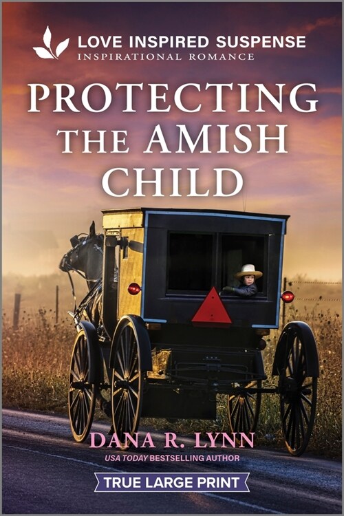 Protecting the Amish Child (Paperback, Original)