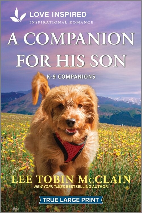 A Companion for His Son: An Uplifting Inspirational Romance (Paperback, Original)