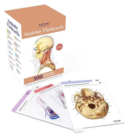 Anatomy Flashcards: 300 Flashcards with Anatomically Precise Drawings and Exhaustive Descriptions (Other, 5)