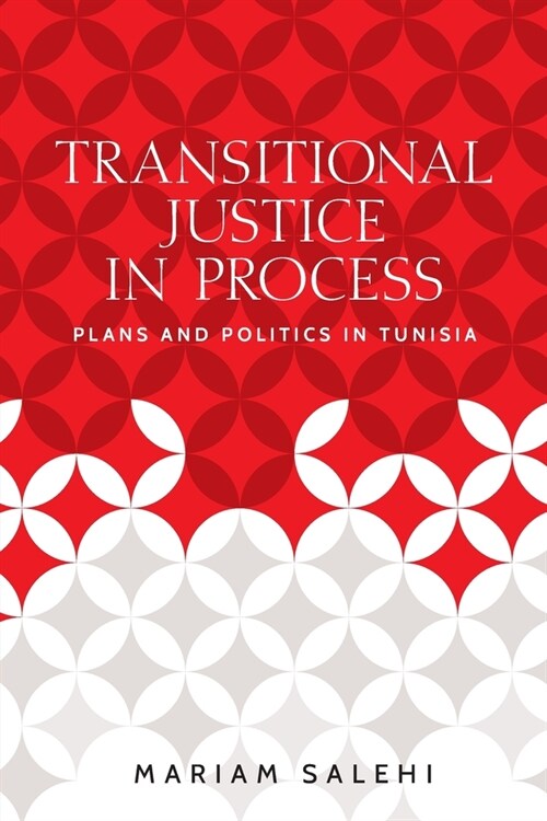 Transitional Justice in Process : Plans and Politics in Tunisia (Paperback)