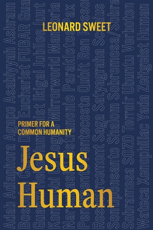 Jesus Human: Primer for a Common Humanity (Paperback)