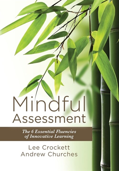 Mindful Assessment: The 6 Essential Fluencies of Innovative Learning (Paperback)