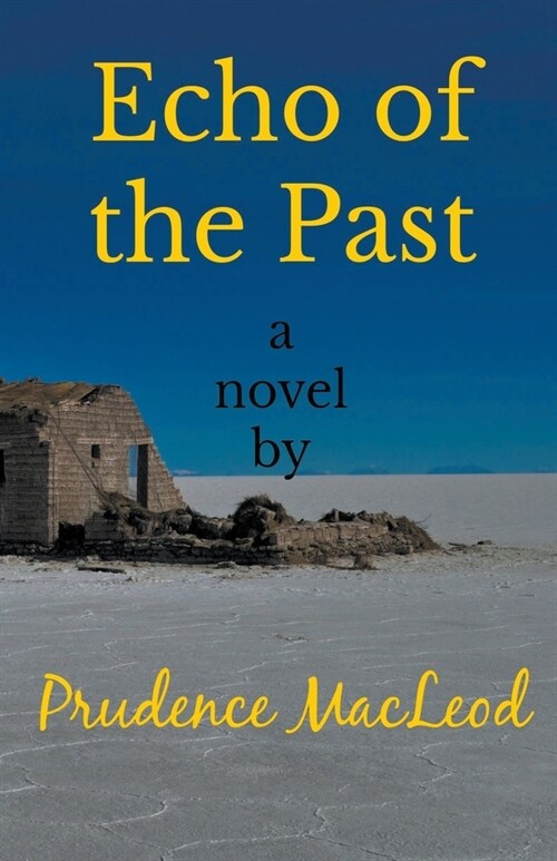 Echo of the Past (Paperback)