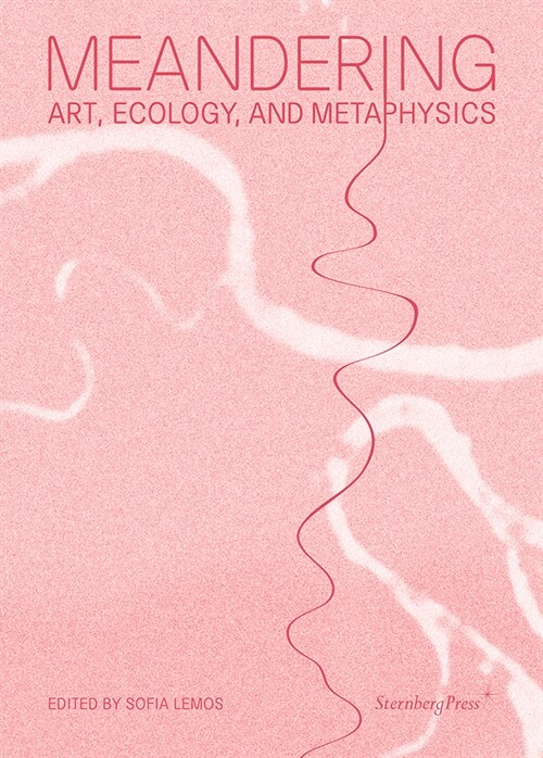Meandering: Art, Ecology, and Metaphysics (Paperback)