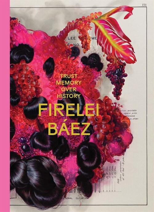 Firelei B?z: Trust Memory Over History (Paperback)