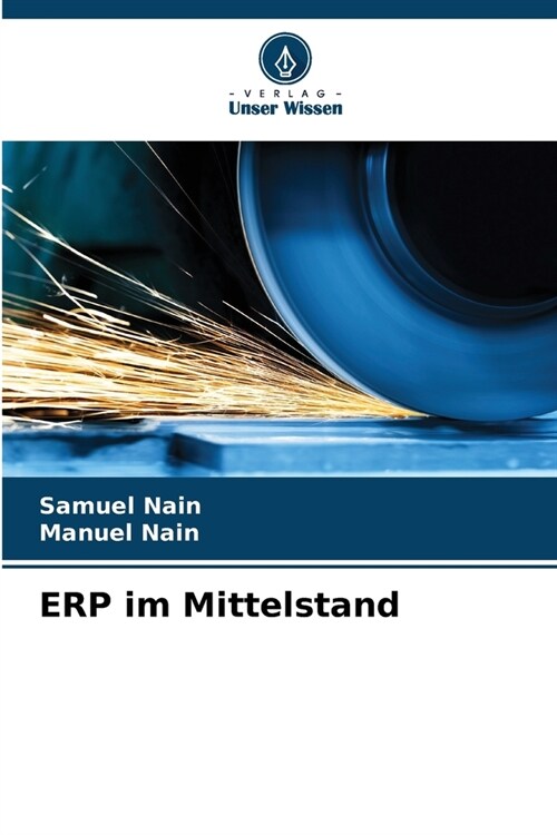 ERP im Mittelstand (Paperback)