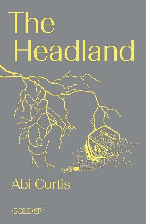 The Headland (Paperback)