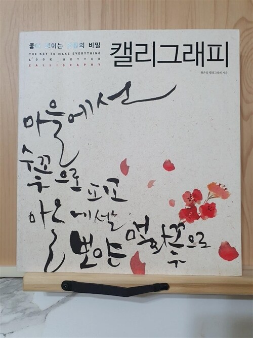 [중고] 좋아 보이는 것들의 비밀, 캘리그래피