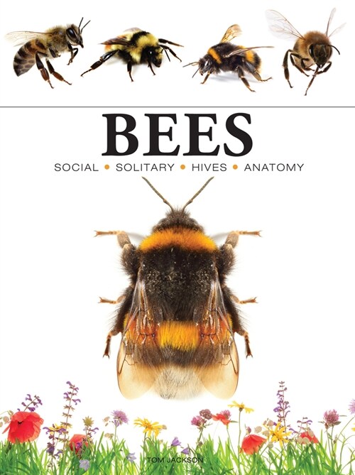 Bees (Paperback)