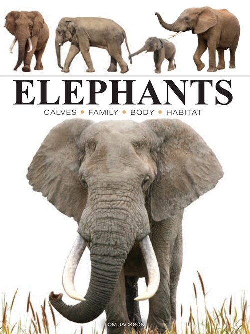 Elephants (Paperback)