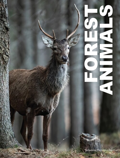 Forest Animals (Hardcover)
