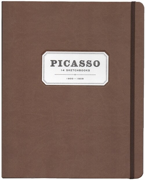 Picasso: 14 Sketchbooks (Paperback)