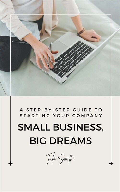 Small Business, Big Dreams: A Step-by-Step Guide to Starting Your Company (Paperback)