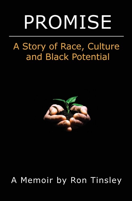 Promise - A Story of Race, Culture and Black Potential (Paperback)