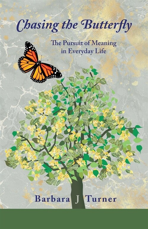 Chasing the Butterfly: The Pursuit of Meaning in Everyday Life (Paperback)