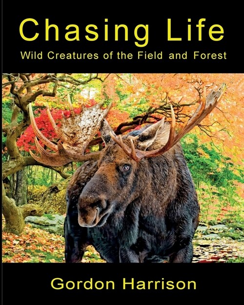 Chasing Life: Wild Creatures of the Field and Forest (Paperback)