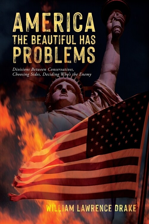 America The Beautiful Has Problems: Divisions between conservatives, choosing sides, deciding whos the enemy (Paperback)