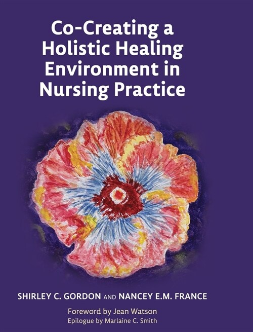 Co-Creating a Holistic Healing Environment in Nursing Practice (Hardcover)