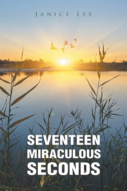 Seventeen Miraculous Seconds (Paperback)