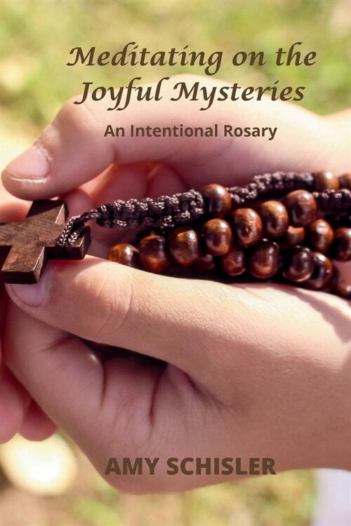 Meditating on the Joyful Mysteries (Paperback)