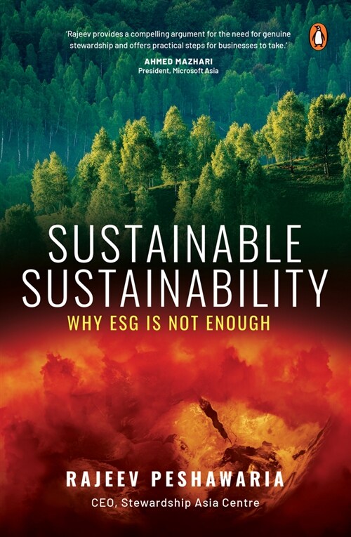 Sustainable Sustainability: Why Esg Is Not Enough (Paperback)