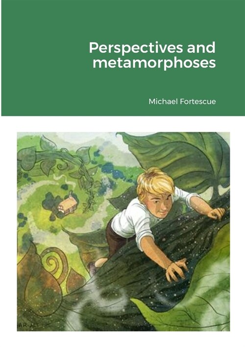 Perspectives and metamorphoses (Paperback)