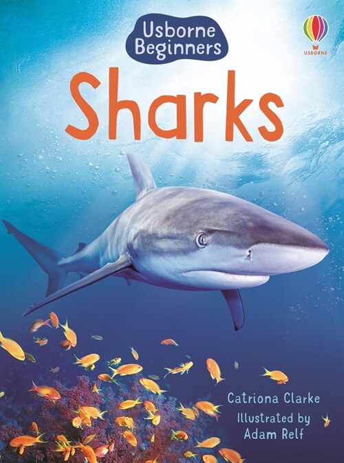 Sharks (Paperback)